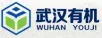 Wuhan Youji